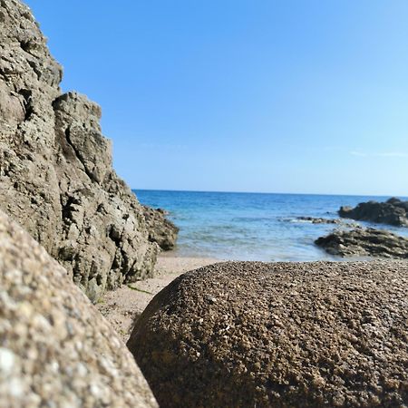 Le 3 Appartement Vue Mer Avec Jardin 100M De La Plage Et De La Thalasso Concarneau Ngoại thất bức ảnh