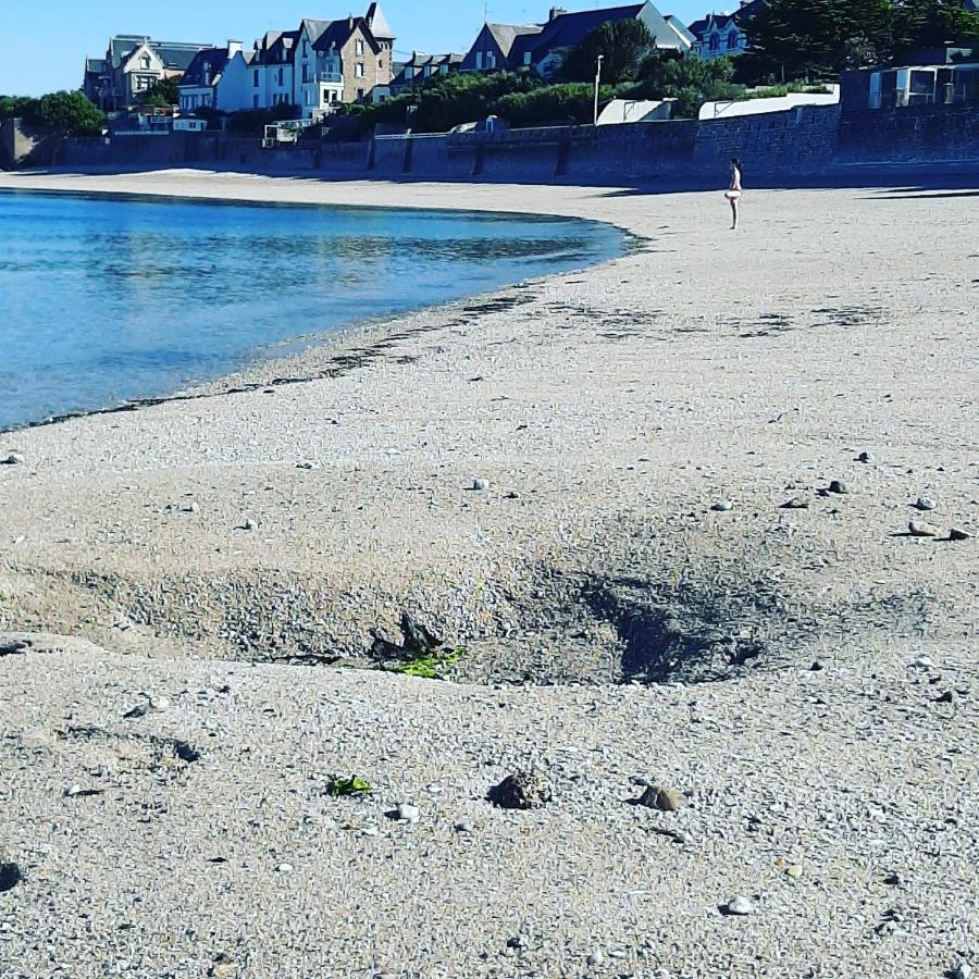 Le 3 Appartement Vue Mer Avec Jardin 100M De La Plage Et De La Thalasso Concarneau Ngoại thất bức ảnh