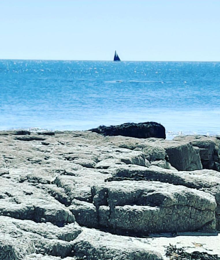 Le 3 Appartement Vue Mer Avec Jardin 100M De La Plage Et De La Thalasso Concarneau Ngoại thất bức ảnh