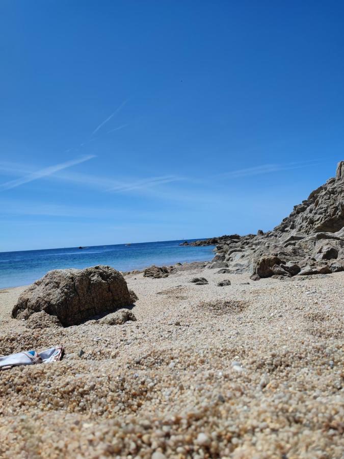 Le 3 Appartement Vue Mer Avec Jardin 100M De La Plage Et De La Thalasso Concarneau Ngoại thất bức ảnh