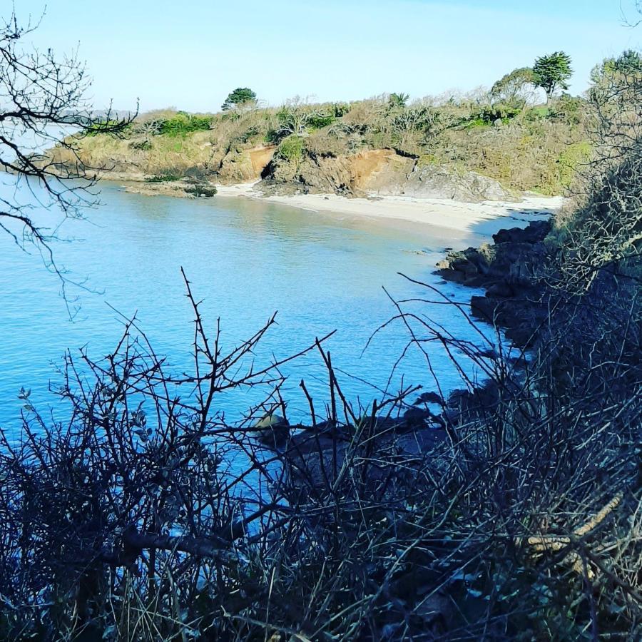 Le 3 Appartement Vue Mer Avec Jardin 100M De La Plage Et De La Thalasso Concarneau Ngoại thất bức ảnh